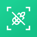 Gluten Free Recipes app icon